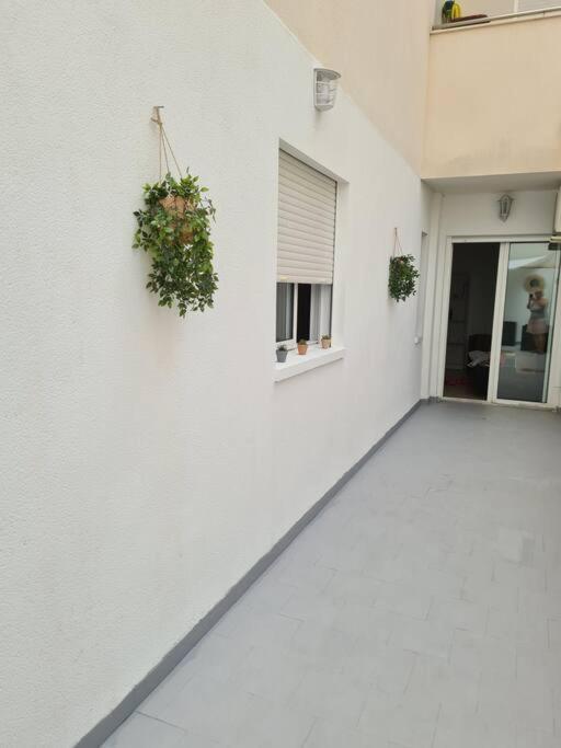 Beautiful Apartment With Patio Torrevieja Exterior photo
